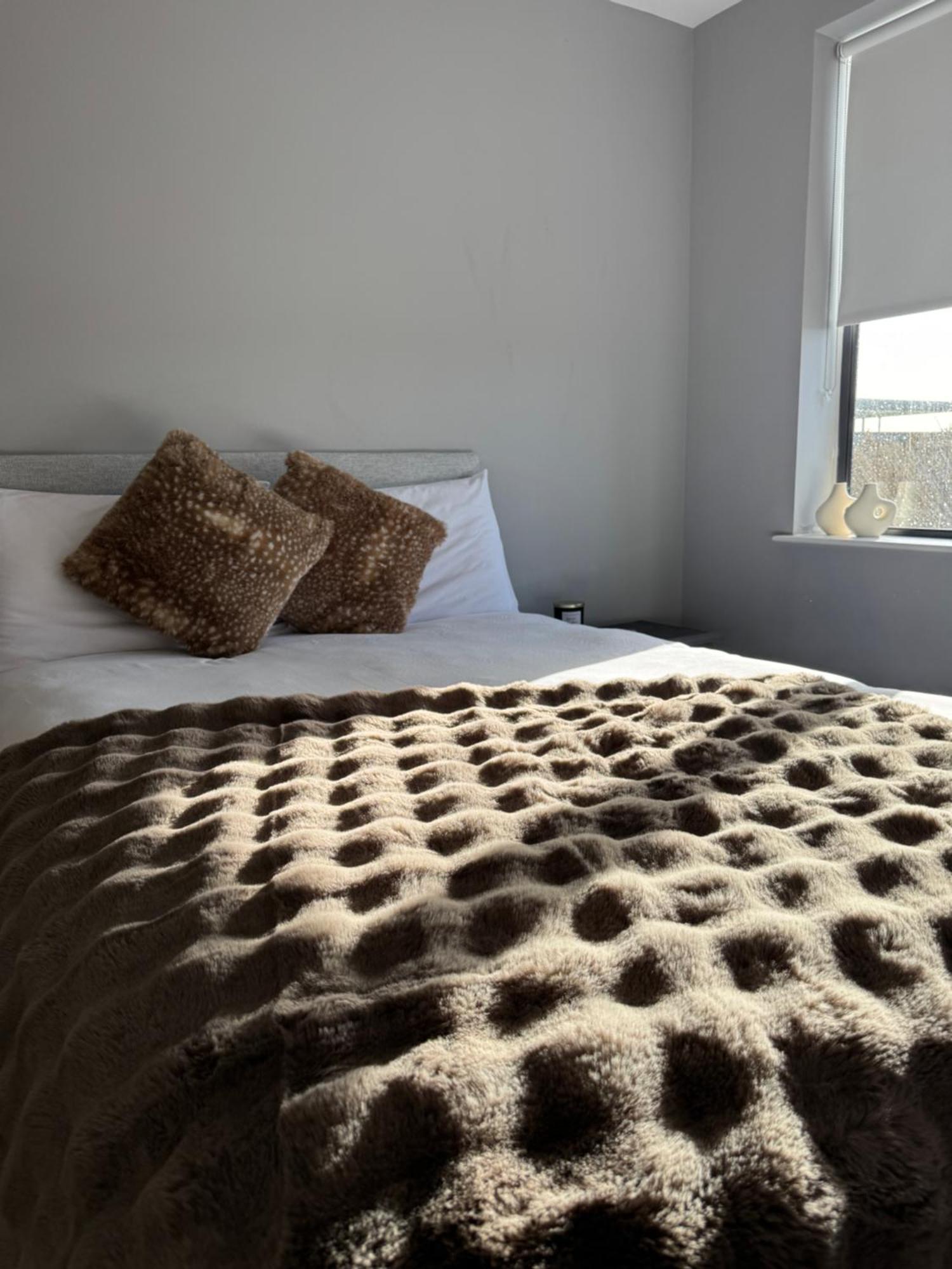 Dublin Private Room — Photos 3